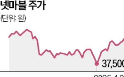 게임株 부진 속 호실적 넷마블 '나혼자 레벨업'