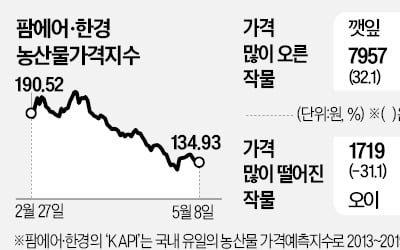 쌀쌀한 날씨에 생육 더뎌…깻잎·상추 급등