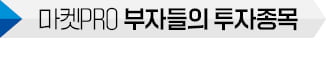 "지금 사 둬야 돈 번다" 폭풍매수…찐부자들 쓸어담은 종목