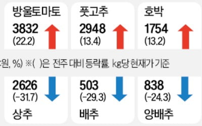 상추·배추 등 잎사귀 채소 30% 급락