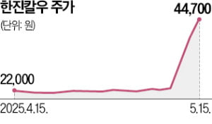 반격 나선 조원태, 한진칼 자사주 팔아 의결권 확대