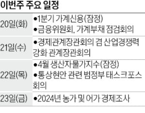 [월요전망대] 비수도권 3단계 DSR, 얼마나 완화될까
