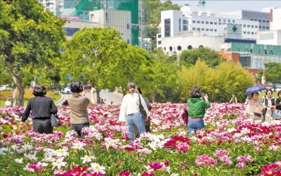 울산 국제정원박람회 성공 기반 다진다