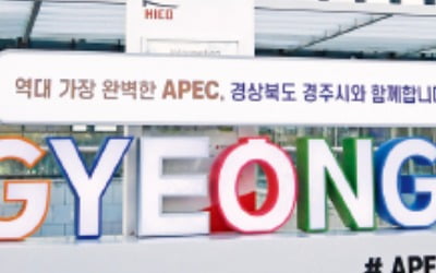 "경주역 고속열차 이용객 급증, 10월 APEC…정차횟수 늘려야"