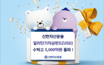 신한달러단기자금펀드, 변동성 장세에 '안전 사설토토'…공모채권펀드 올들어 1조 유입