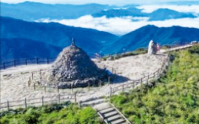 "지리산을 웰니스 관광 중심지로"…경남, 전남과 특화상품 개발한다