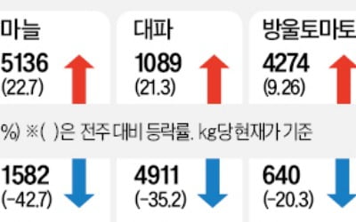 노지채소 출하 늘자 상추·깻잎·양파 안정세