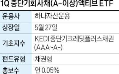국내 중단기 회사채 투자…예금보다 나은 ETF 출시