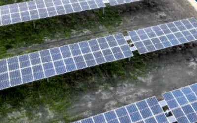 "中 앞설 비밀병기"…한화, 10년 공들인 '꿈의 태양광' 빛봤다