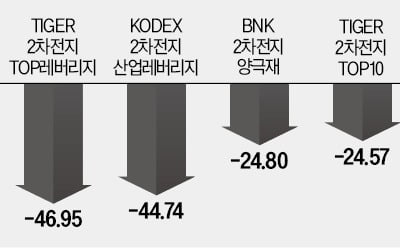 전기차 캐즘·IRA 폐지 우려…2차전지 ETF '올해도 꼴찌'