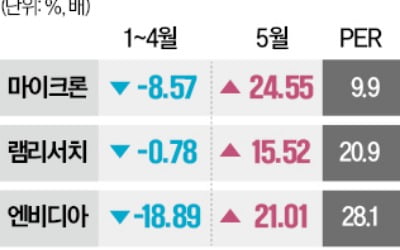 마이크론·램리서치 사들이는 헤지펀드