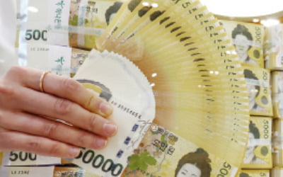 [임현우 기자의 키워드 시사경제] 24년 만에 두 배로…5000만원 → 1억원