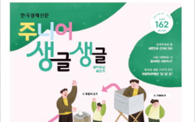 선거와 민주주의