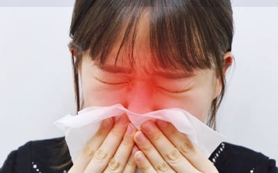'봄철 불청객' 꽃가루 알레르기, 코 분무제로 개선