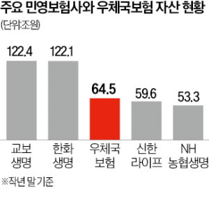 우체국보험도 대형 보험사 맞먹어…자산 규모 60조 훌쩍