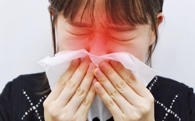 '봄철 불청객' 꽃가루 알레르기, 코 분무제로 개선
