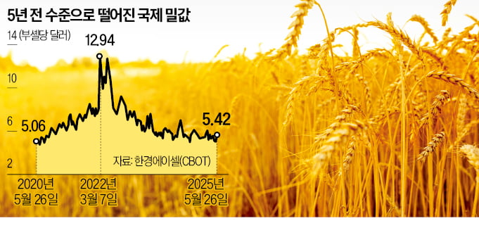 세계적 풍년에…밀값 5년來 최저 찍었다