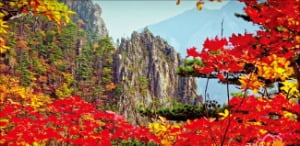 '한민족 명산' 금강산, 유네스코 세계유산 된다