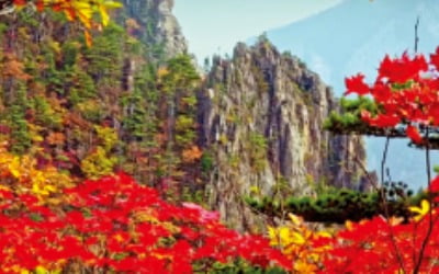 '한민족 명산' 금강산, 유네스코 세계유산 된다