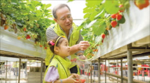 이찬우 농협금융 회장, 파주 농촌 체험 및 플로깅 봉사로 지역사회 기여