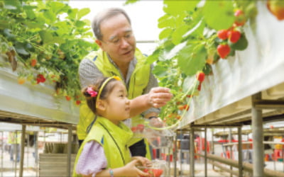 이찬우 농협금융 회장 농촌 체험 나서