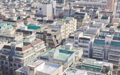 단독·연립·다세대 등 비아파트 '단기임대' 부활