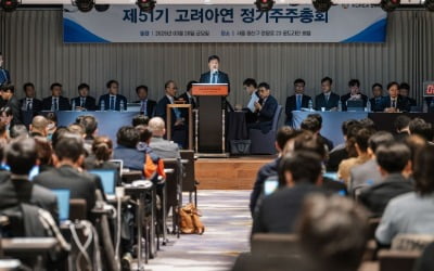 단독  MBK 연합, 고려아연 항고심에 법무법인 YK 투입…2차전 본격화
