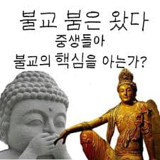 강요 대신 위로로…MZ의 ‘안전지대’가 된 불교[부처, 깨달음이 트렌드가 되기까지]