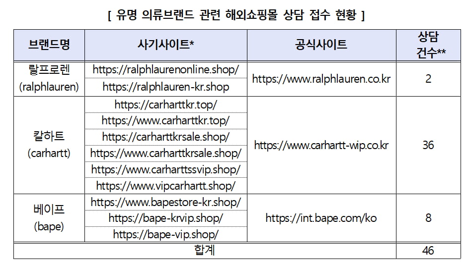 “랄프로렌 싸다고 샀다가 돈 떼였네” 유명브랜드 사칭 해외쇼핑몰 주의보
