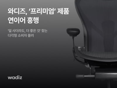 와디즈, 허먼밀러 의자·명품 스텐팬 등 ‘프리미엄’ 제품 인기