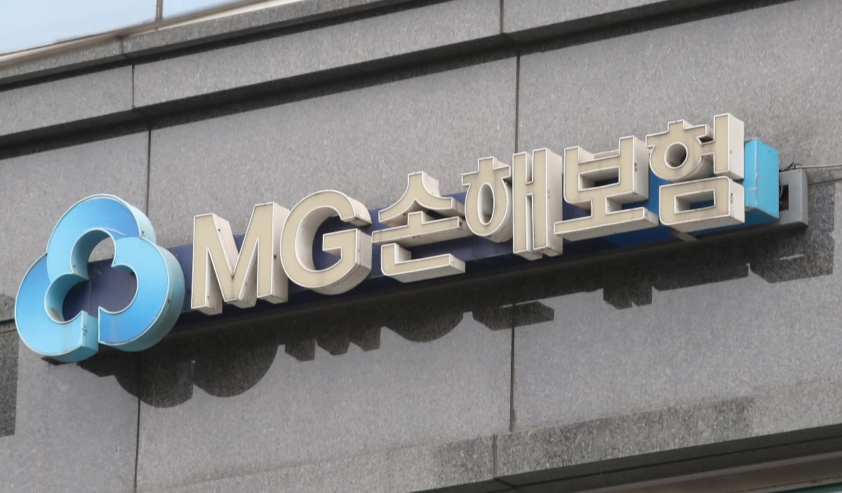 “공적자금 없이 구제” MG손보, 가교보험사 거쳐 5대 손보로