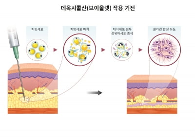 대웅제약, 데옥시콜산의 ‘팔뚝살 분해 효과’ 국내서 최초 입증