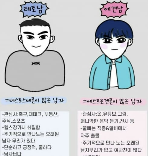 ‘테토남’(왼쪽)과 ‘에겐남’을 설명하는 일러스트. 사진=인스타그램 갈무리
