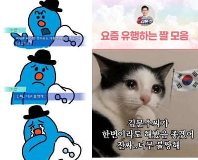 “캠프 밖 1인캠프”…MZ세대, 디지털로 정치를 '편집'하다 [대선, 내삶을 바꿀까①]