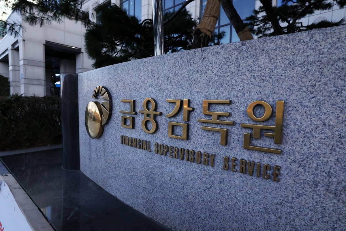 금감원 "자본시장 선진화, 흔들림 없이 추진돼야"