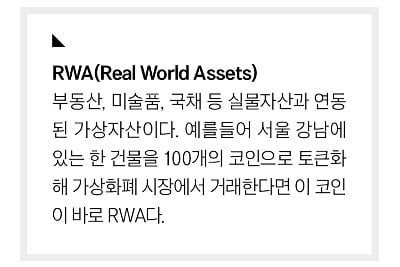 가상자산으로 미 국채 투자… 블랙록이 점찍은 ‘RWA’