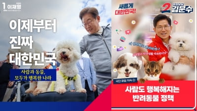 “동물병원 영수증, 이제 마음 졸이지 않아도 되나요?”[대선, 내삶을 바꿀까⑪]