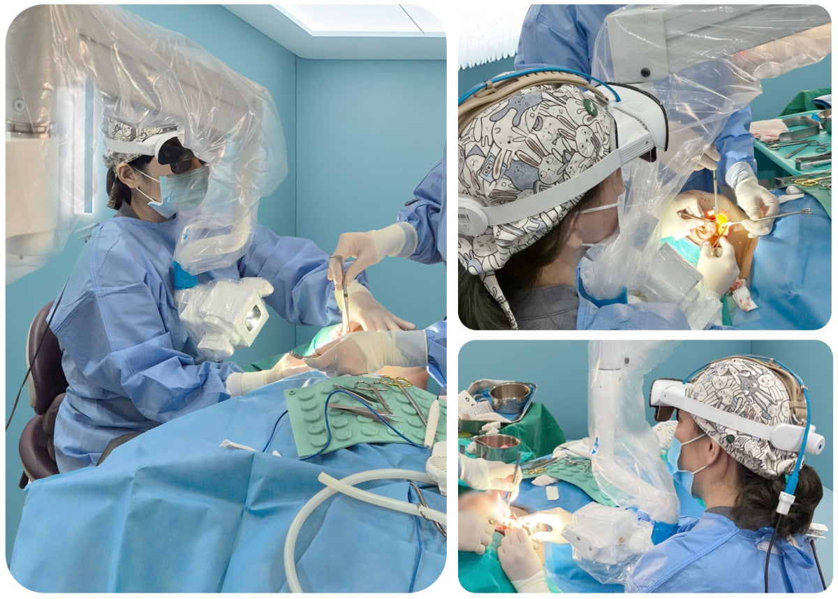 국내 의료진이 메디씽큐의 3차원(3D) 현미경인 '3D 마이크로비전' 솔루션으로 토토사이트 모음을 하고 있는 모습. / 사진=메디씽큐 제공