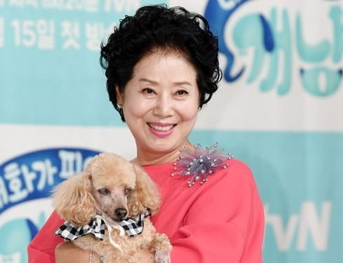 선우용여, 65년째 소유한 이태원 건물 공개…"터가 좋다"