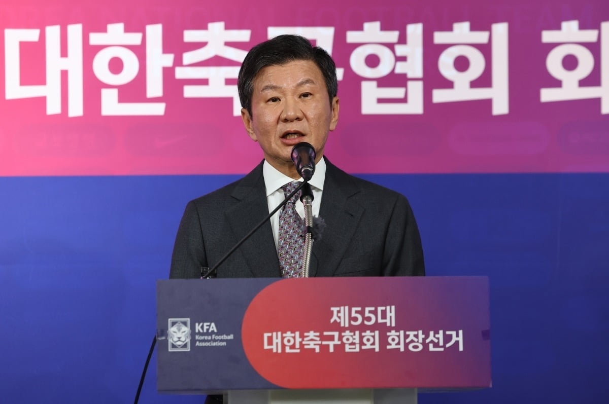 '정몽규 축구협회 중징계 요구' 집행정지, 법원 유지