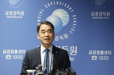 금감원 "자본시장 선진화, 흔들림 없이 추진돼야"