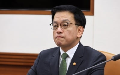 [속보] 국회 법사위, 최상목 부총리 탄핵소추안 상정