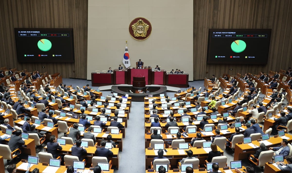 1일 국회에서 열린 본회의에서 2025년도 제1회 추가경정예산안이 통과되고 있다. /사진=연합뉴스