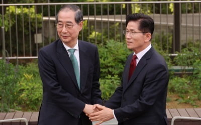 [속보] 김문수, 한덕수에 '선대위원장' 제안…韓 "논의해보겠다"