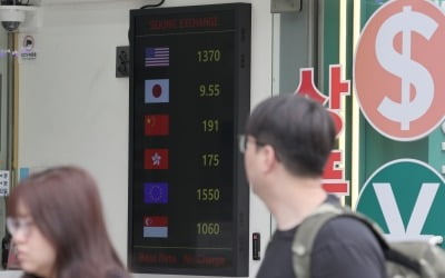 '테슬라 오르면 뭐하나'…서학개미 '비명' 터진 이유 [분석+]