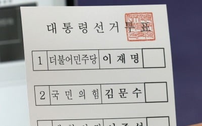 "부정선거 의심"…한밤 중 배관 타고 선관위 침입한 30대 체포