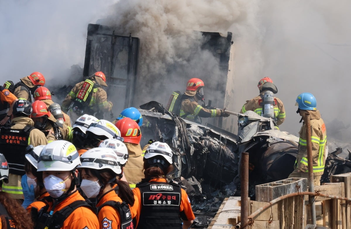  29일 오후 1시 50분께 경북 포항시 남구 동해면 신정리 한 야산에 해군 초계기가 추락한 가운데 소방관들이 화재 진압을 하고 있다. /사진=연합뉴스