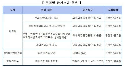 주러대사관 공사 등 6개 정부 개방형 직위 공모