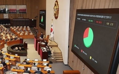 프로젝트 리츠 도입·항공 안전의 날 지정 국회 본회의 통과