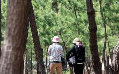 전국 강한 바람에 일교차 커…낮 최고 17∼22도